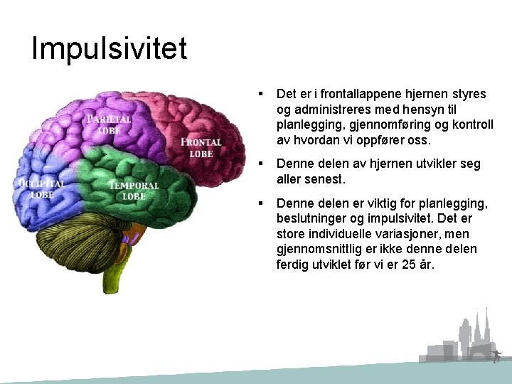 Impulsivitet § Det er i frontallappene hjernen styres og administreres med hensyn til planlegging,