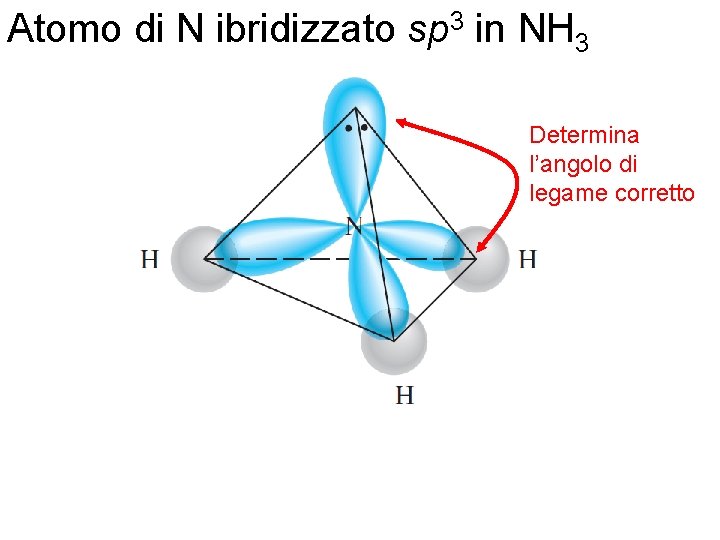 Atomo di N ibridizzato sp 3 in NH 3 Determina l’angolo di legame corretto