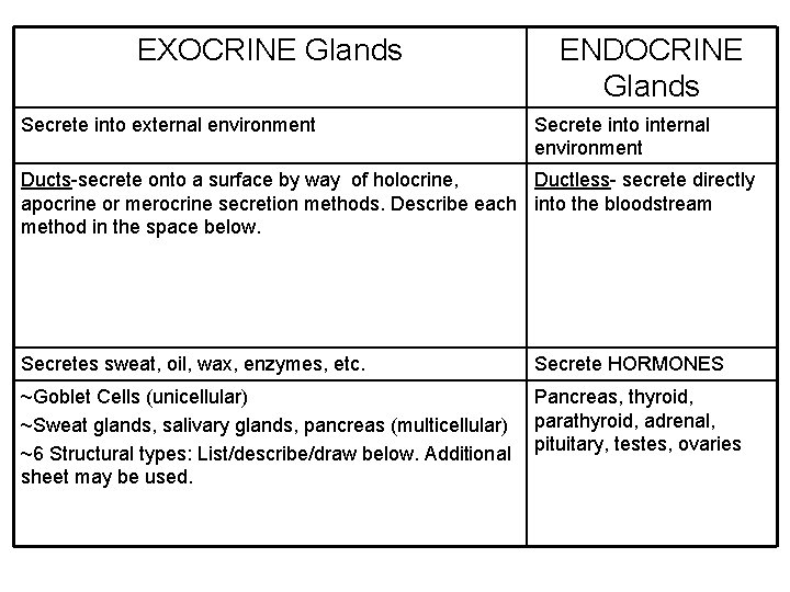 EXOCRINE Glands Secrete into external environment ENDOCRINE Glands Secrete into internal environment Ducts-secrete onto