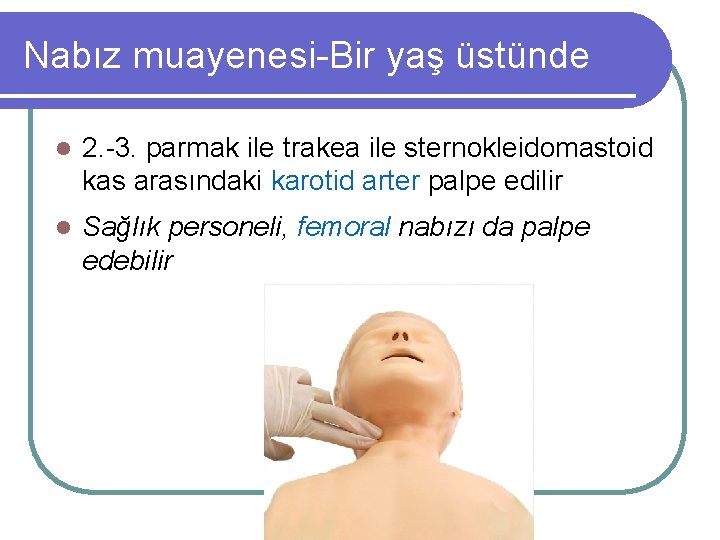 Nabız muayenesi-Bir yaş üstünde l 2. -3. parmak ile trakea ile sternokleidomastoid kas arasındaki