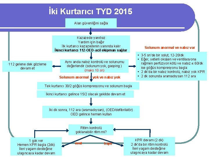 İki Kurtarıcı TYD 2015 Alan güvenliğini sağla Kazazede yanıtsız Yardım için bağır İlk kurtarıcı