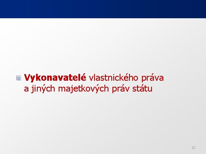 Vykonavatelé vlastnického práva a jiných majetkových práv státu 12 