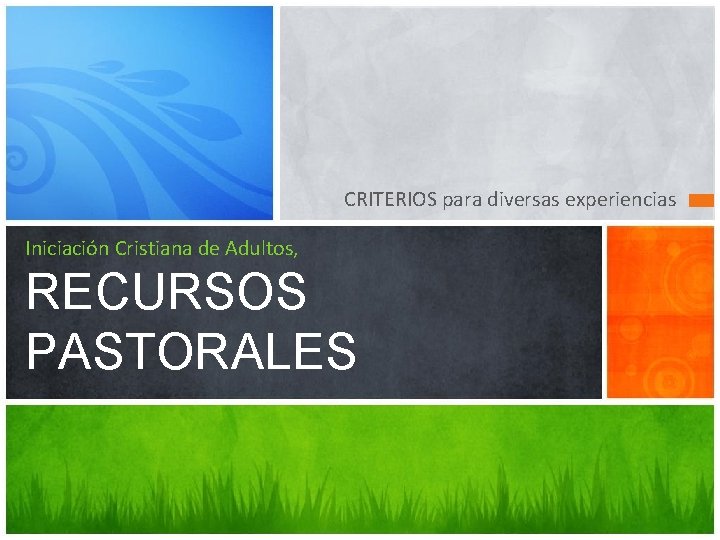 CRITERIOS para diversas experiencias Iniciación Cristiana de Adultos, RECURSOS PASTORALES 