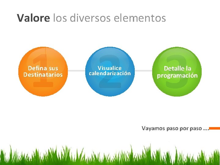 Valore los diversos elementos 1 2 3 Defina sus Destinatarios Visualice calendarización Detalle la