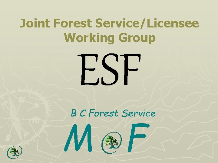 Joint Forest Service/Licensee Working Group ESF B C Forest Service M F 