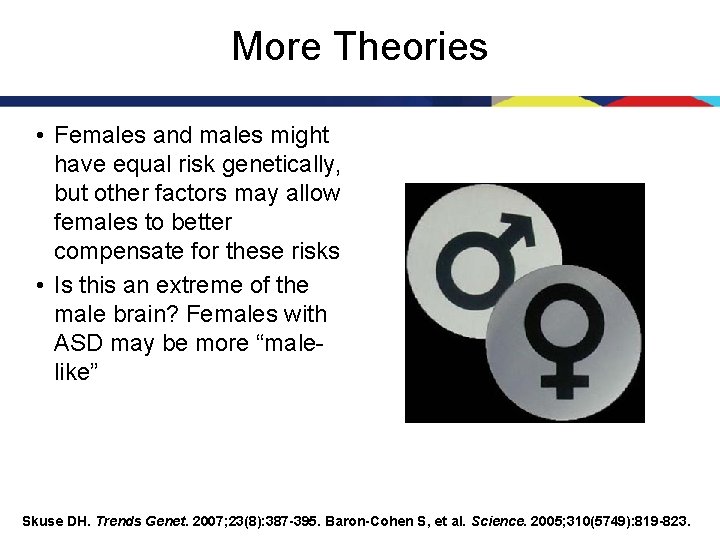 More Theories • Females and males might have equal risk genetically, but other factors