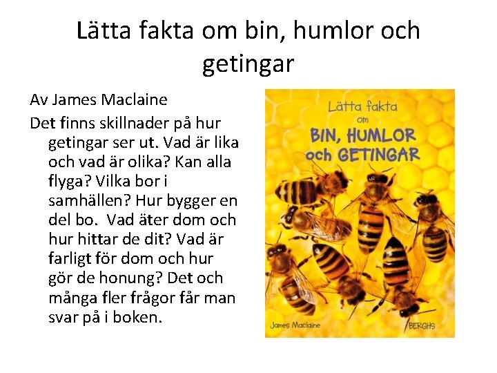 Lätta fakta om bin, humlor och getingar Av James Maclaine Det finns skillnader på