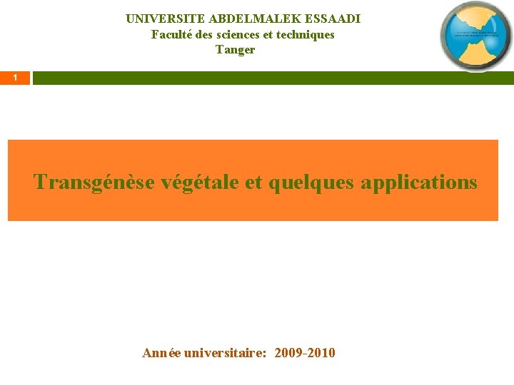 UNIVERSITE ABDELMALEK ESSAADI Faculté des sciences et techniques Tanger 1 Transgénèse végétale et quelques