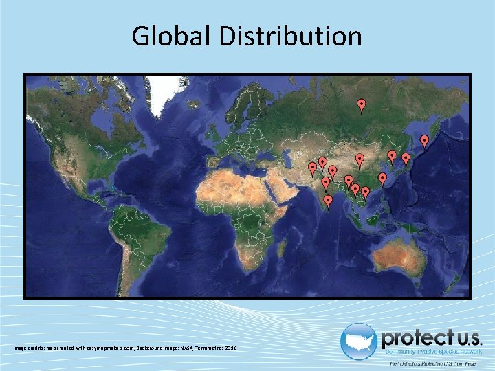 Global Distribution Image credits: map created with easymapmakers. com, Background image: NASA, Terrametrics 2016