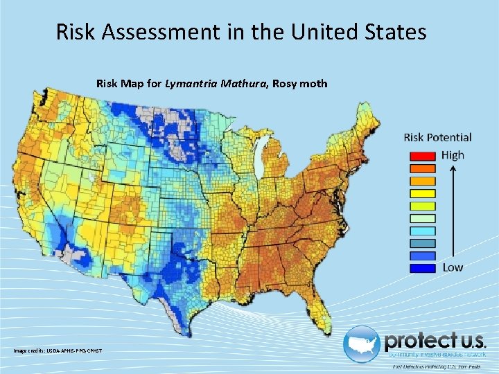 Risk Assessment in the United States Risk Map for Lymantria Mathura, Rosy moth Image