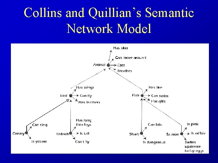 Collins and Quillian’s Semantic Network Model 