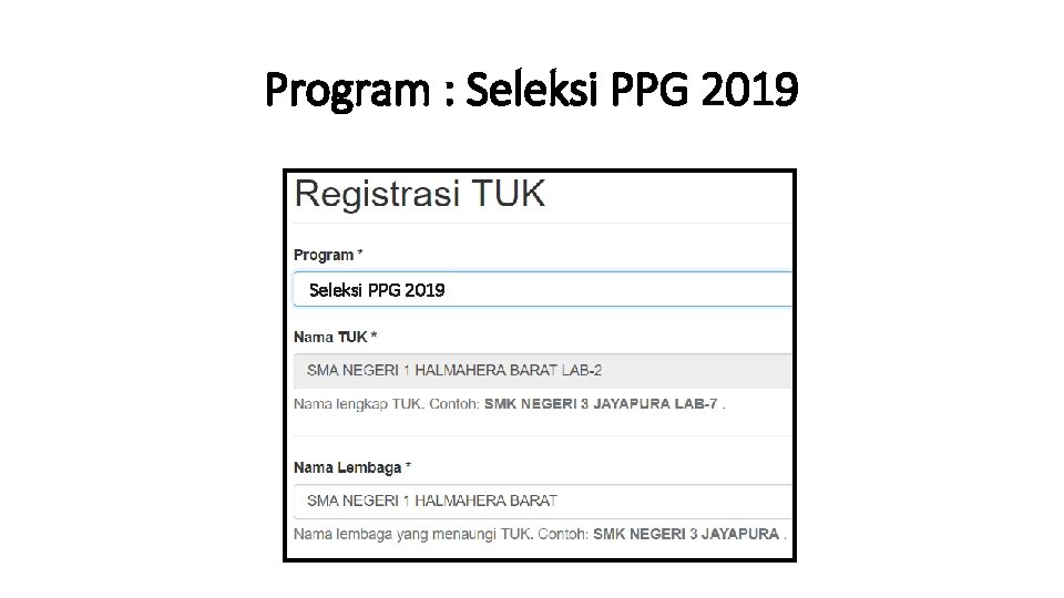 Program : Seleksi PPG 2019 