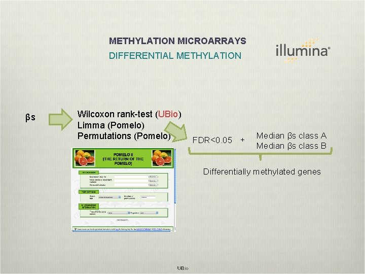 METHYLATION MICROARRAYS DIFFERENTIAL METHYLATION βs Wilcoxon rank-test (UBio) Limma (Pomelo) Permutations (Pomelo) FDR<0. 05