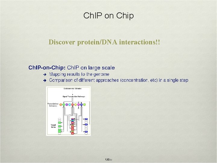 Ch. IP on Chip Discover protein/DNA interactions!! 