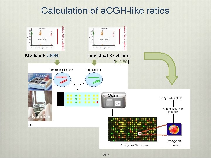 Calculation of a. CGH-like ratios Median R CEPH Individual R cell line (NCI 60)