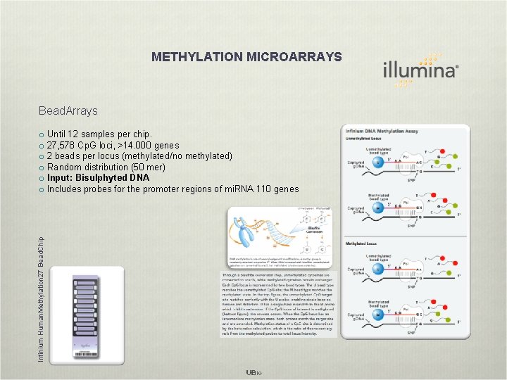 METHYLATION MICROARRAYS Bead. Arrays Infinium Human. Methylation 27 Bead. Chip o Until 12 samples
