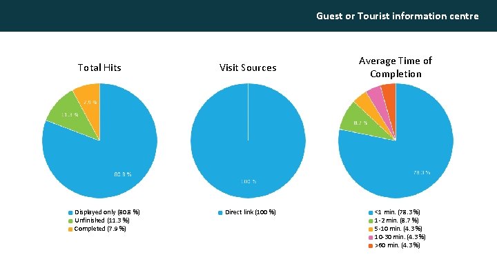 Guest or Tourist information centre Total Hits Displayed only (80. 8 %) Unfinished (11.