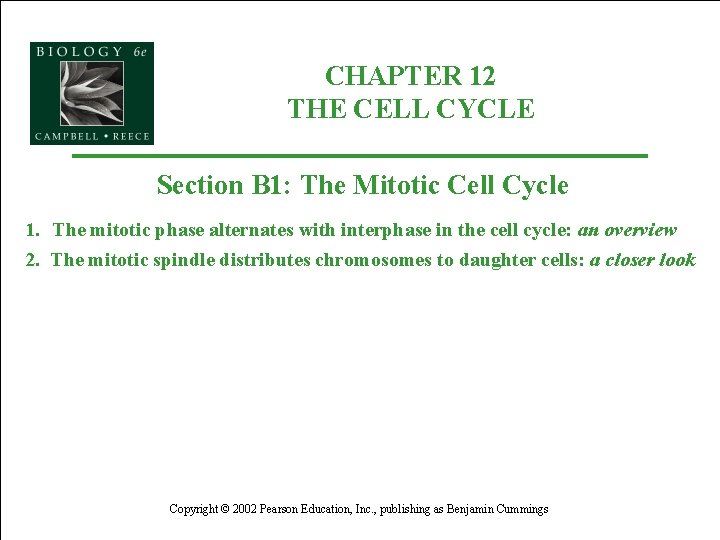 CHAPTER 12 THE CELL CYCLE Section B 1: The Mitotic Cell Cycle 1. The