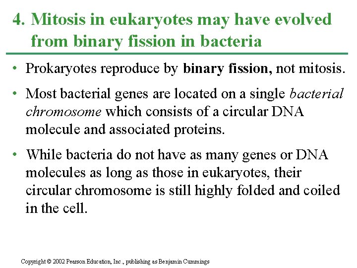 4. Mitosis in eukaryotes may have evolved from binary fission in bacteria • Prokaryotes