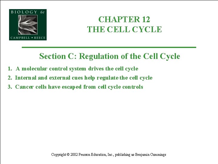 CHAPTER 12 THE CELL CYCLE Section C: Regulation of the Cell Cycle 1. A