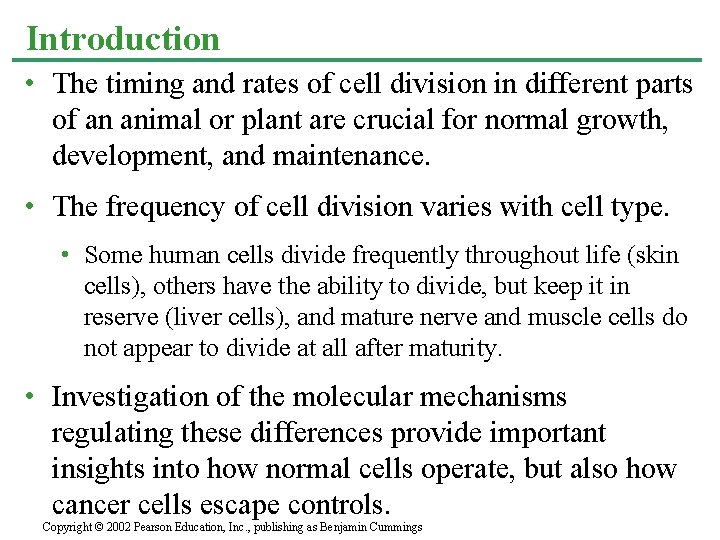 Introduction • The timing and rates of cell division in different parts of an
