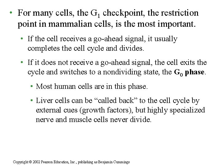  • For many cells, the G 1 checkpoint, the restriction point in mammalian