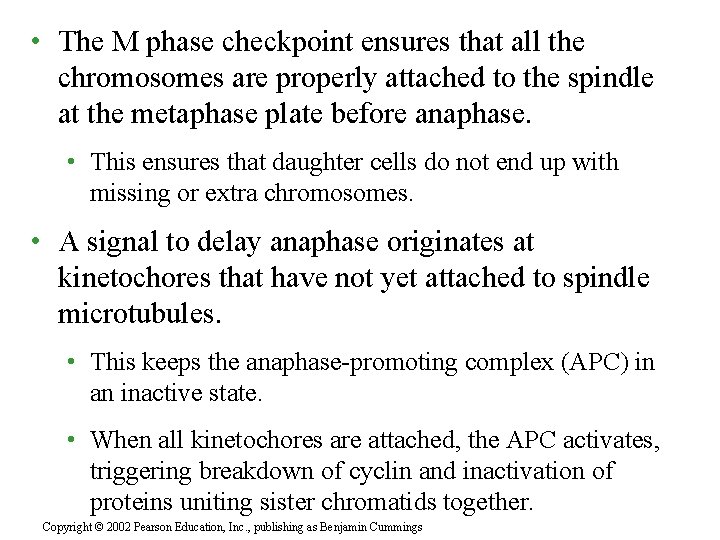  • The M phase checkpoint ensures that all the chromosomes are properly attached