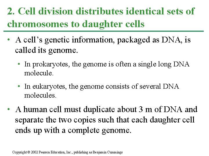 2. Cell division distributes identical sets of chromosomes to daughter cells • A cell’s