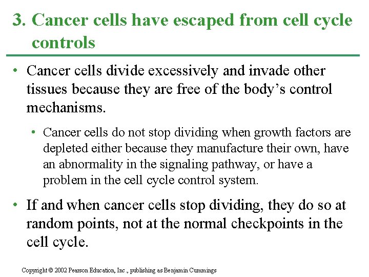3. Cancer cells have escaped from cell cycle controls • Cancer cells divide excessively