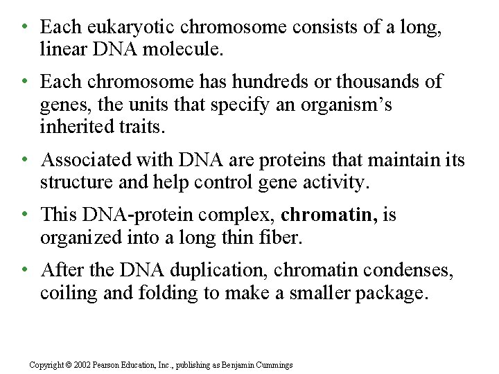  • Each eukaryotic chromosome consists of a long, linear DNA molecule. • Each