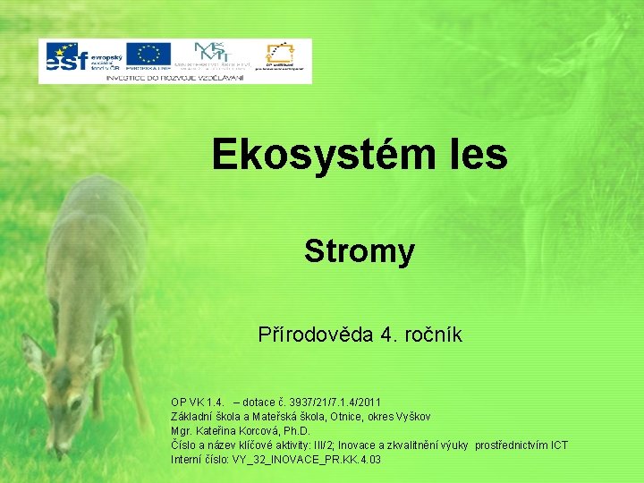 Ekosystém les Stromy Přírodověda 4. ročník OP VK 1. 4. – dotace č. 3937/21/7.