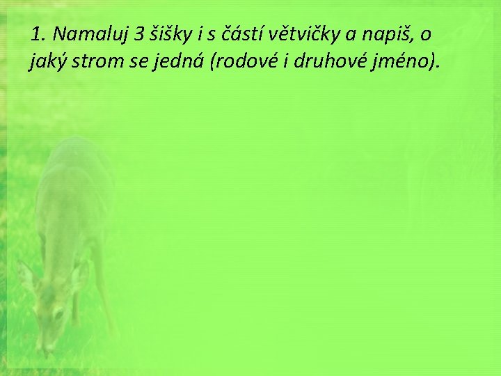 1. Namaluj 3 šišky i s částí větvičky a napiš, o jaký strom se