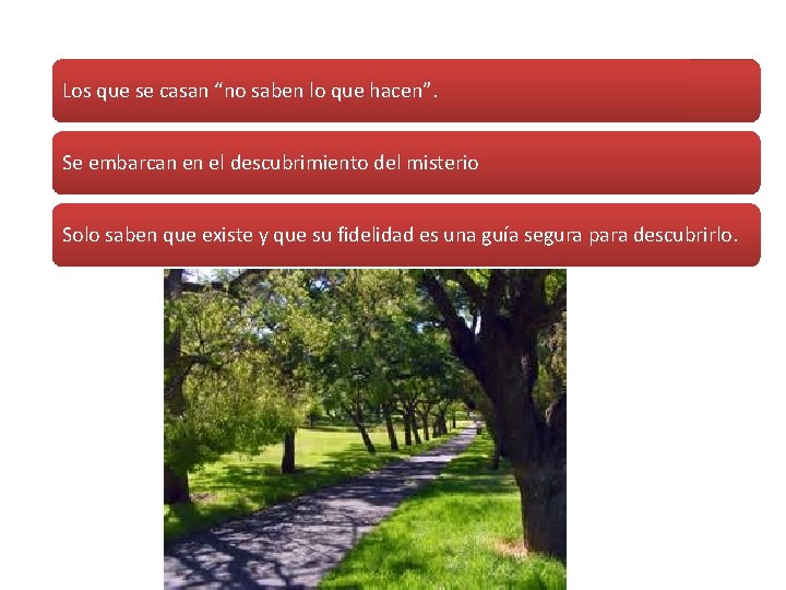 Los que se casan “no saben lo que hacen”. Se embarcan en el descubrimiento