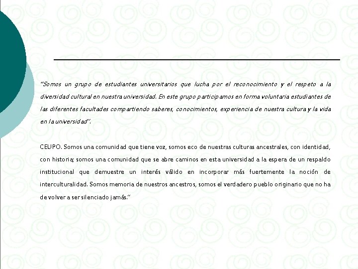 “Somos un grupo de estudiantes universitarios que lucha por el reconocimiento y el respeto