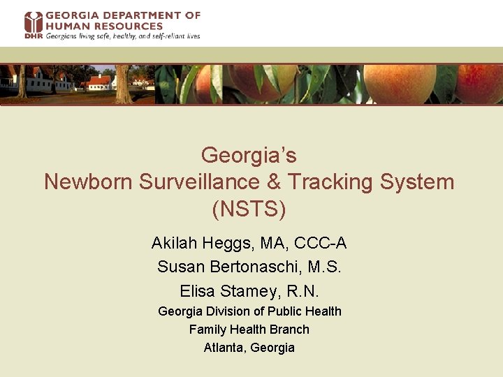Georgia’s Newborn Surveillance & Tracking System (NSTS) Akilah Heggs, MA, CCC-A Susan Bertonaschi, M.