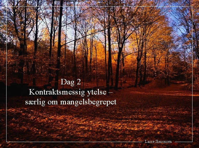 Dag 2 Kontraktsmessig ytelse – særlig om mangelsbegrepet Lasse Simonsen 