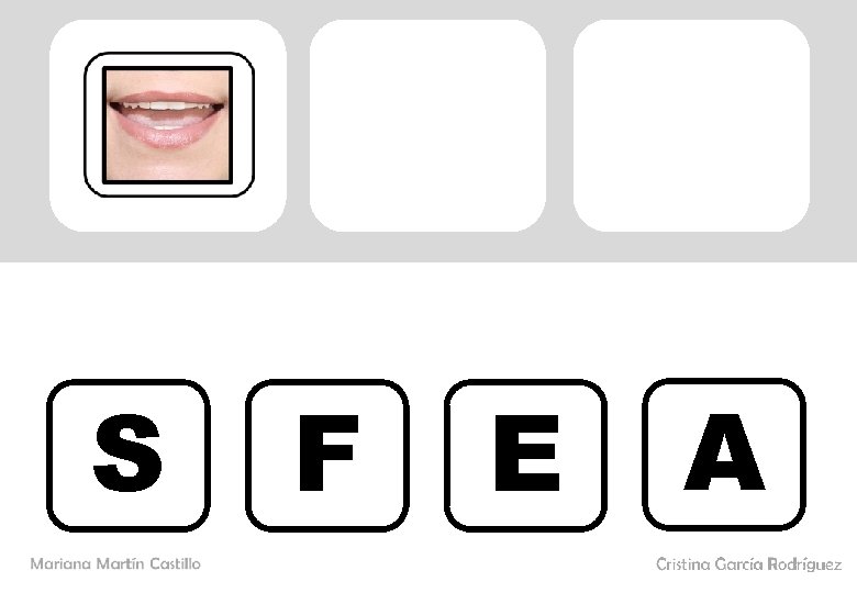 S F E A 