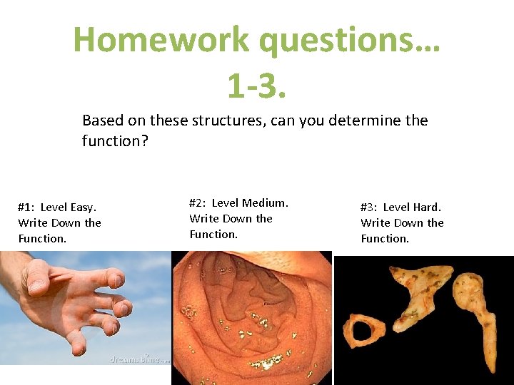 Homework questions… 1 -3. Based on these structures, can you determine the function? #1: