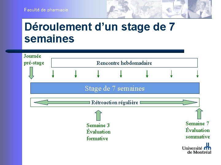 Faculté de pharmacie Déroulement d’un stage de 7 semaines Journée pré-stage Rencontre hebdomadaire Stage