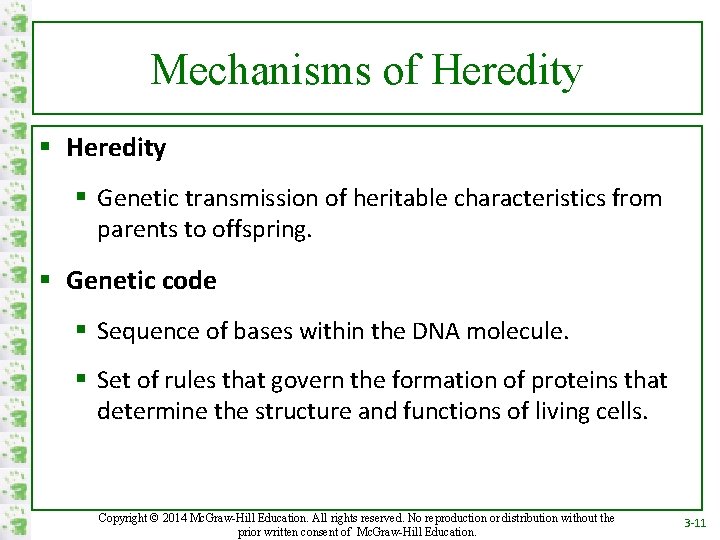 Mechanisms of Heredity § Genetic transmission of heritable characteristics from parents to offspring. §