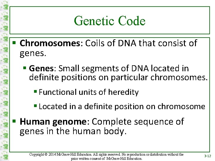 Genetic Code § Chromosomes: Coils of DNA that consist of genes. § Genes: Small