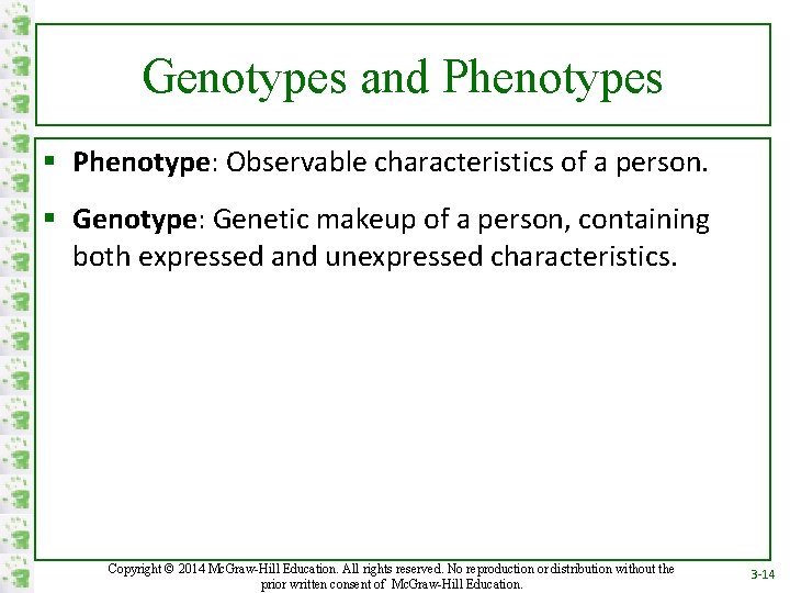 Genotypes and Phenotypes § Phenotype: Observable characteristics of a person. § Genotype: Genetic makeup
