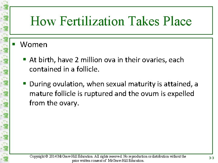How Fertilization Takes Place § Women § At birth, have 2 million ova in