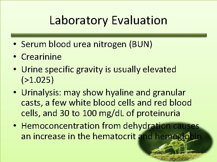 Laboratory Evaluation • Serum blood urea nitrogen (BUN) • Crearinine • Urine specific gravity