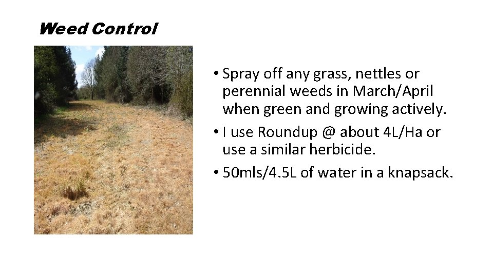 Weed Control • Spray off any grass, nettles or perennial weeds in March/April when