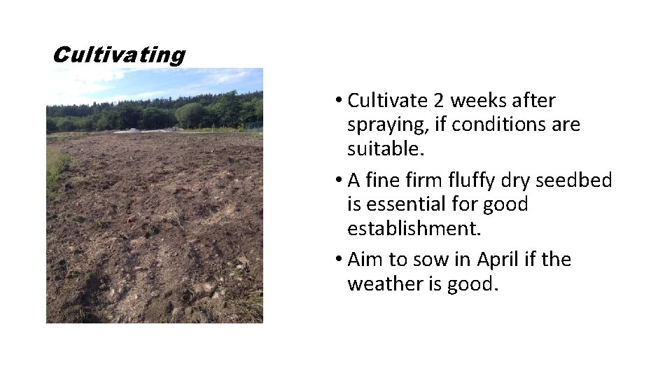 Cultivating • Cultivate 2 weeks after spraying, if conditions are suitable. • A fine