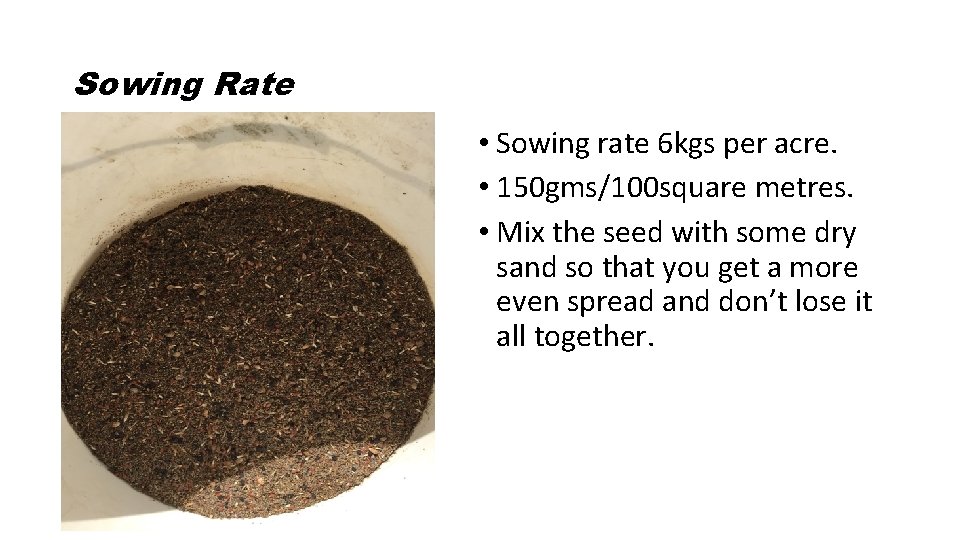 Sowing Rate • Sowing rate 6 kgs per acre. • 150 gms/100 square metres.