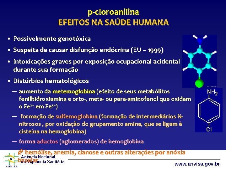 p-cloroanilina EFEITOS NA SAÚDE HUMANA • Possivelmente genotóxica • Suspeita de causar disfunção endócrina