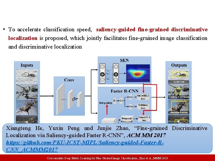  • To accelerate classification speed, saliency-guided fine-grained discriminative localization is proposed, which jointly