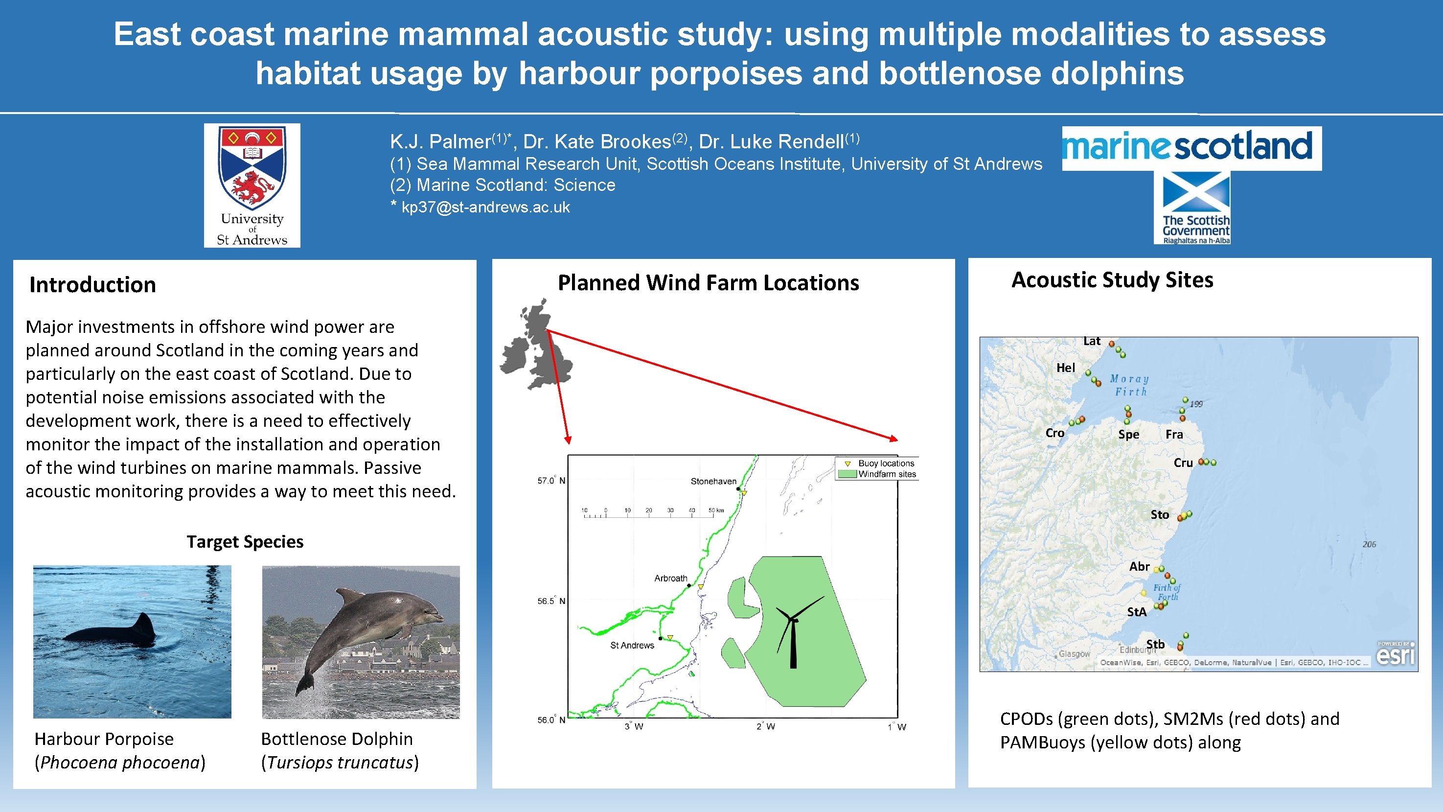 East coast marine mammal acoustic study: using multiple modalities to assess habitat usage by